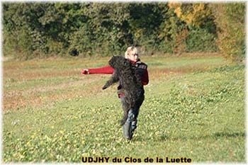 Elevage du CLOS DE LA LUETTE - COPYRIGHT DEPOSE